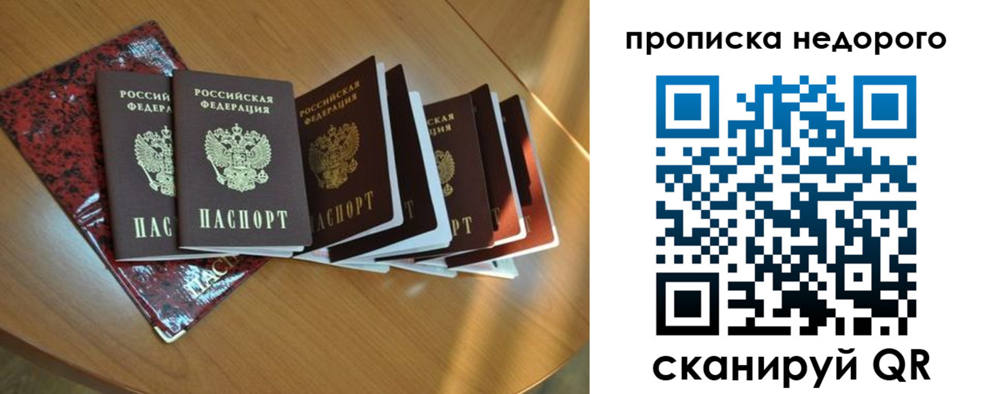 прописка штамп в Видном